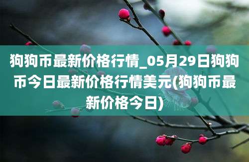 狗狗币最新价格行情_05月29日狗狗币今日最新价格行情美元(狗狗币最新价格今日)