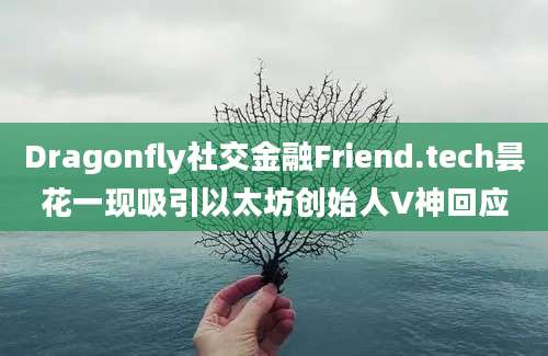 Dragonfly社交金融Friend.tech昙花一现吸引以太坊创始人V神回应