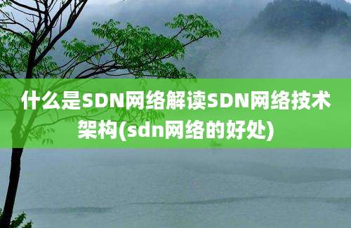 什么是SDN网络解读SDN网络技术架构(sdn网络的好处)