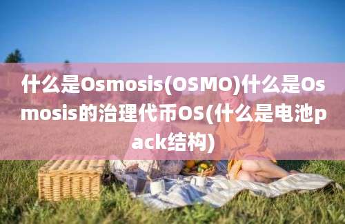 什么是Osmosis(OSMO)什么是Osmosis的治理代币OS(什么是电池pack结构)