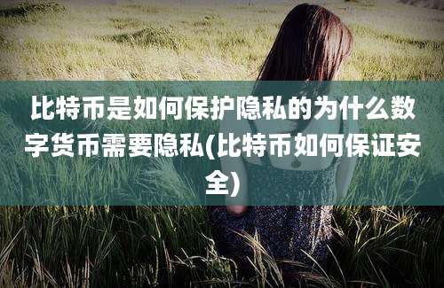 比特币是如何保护隐私的为什么数字货币需要隐私(比特币如何保证安全)