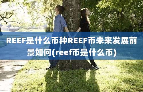 REEF是什么币种REEF币未来发展前景如何(reef币是什么币)