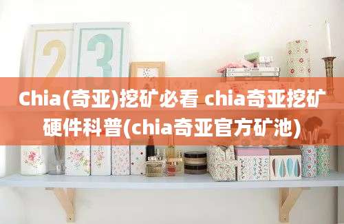 Chia(奇亚)挖矿必看 chia奇亚挖矿硬件科普(chia奇亚官方矿池)