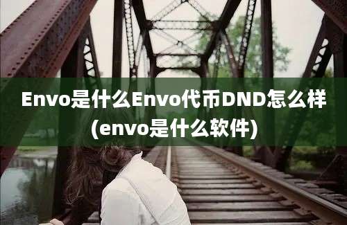 Envo是什么Envo代币DND怎么样(envo是什么软件)