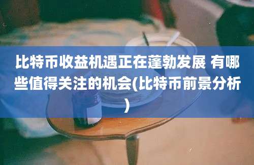 比特币收益机遇正在蓬勃发展 有哪些值得关注的机会(比特币前景分析)