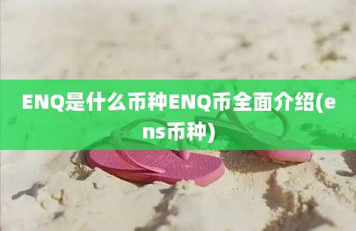 ENQ是什么币种ENQ币全面介绍(ens币种)