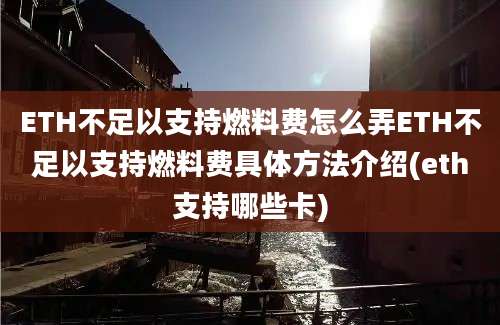 ETH不足以支持燃料费怎么弄ETH不足以支持燃料费具体方法介绍(eth支持哪些卡)