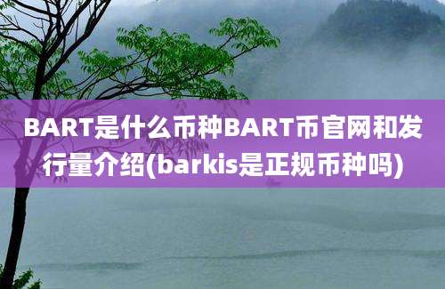 BART是什么币种BART币官网和发行量介绍(barkis是正规币种吗)