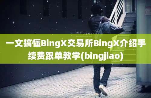 一文搞懂BingX交易所BingX介绍手续费跟单教学(bingjiao)