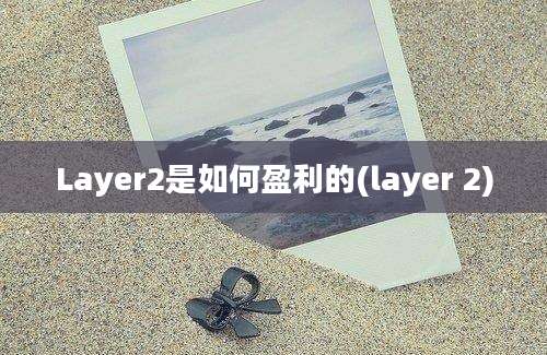 Layer2是如何盈利的(layer 2)