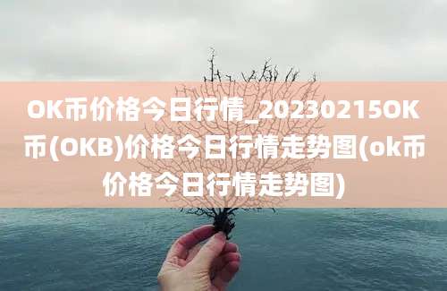 OK币价格今日行情_20230215OK币(OKB)价格今日行情走势图(ok币价格今日行情走势图)