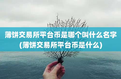 薄饼交易所平台币是哪个叫什么名字(薄饼交易所平台币是什么)