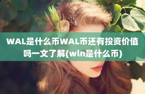 WAL是什么币WAL币还有投资价值吗一文了解(wln是什么币)