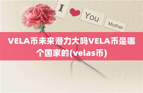 VELA币未来潜力大吗VELA币是哪个国家的(velas币)