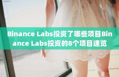 Binance Labs投资了哪些项目Binance Labs投资的8个项目速览