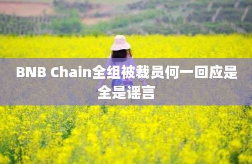 BNB Chain全组被裁员何一回应是全是谣言