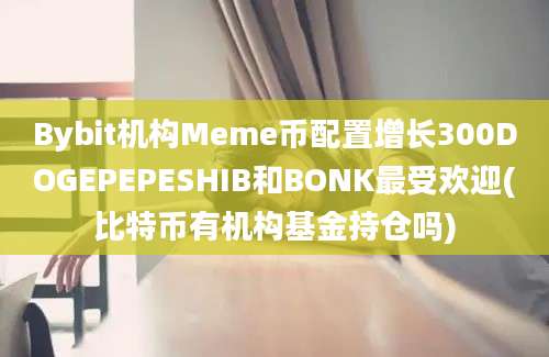 Bybit机构Meme币配置增长300DOGEPEPESHIB和BONK最受欢迎(比特币有机构基金持仓吗)