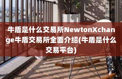 牛盾是什么交易所NewtonXchange牛盾交易所全面介绍(牛盾是什么交易平台)