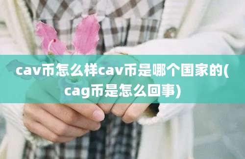 cav币怎么样cav币是哪个国家的(cag币是怎么回事)