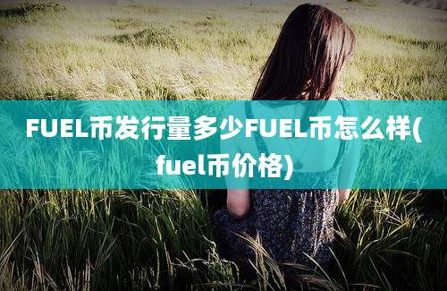 FUEL币发行量多少FUEL币怎么样(fuel币价格)