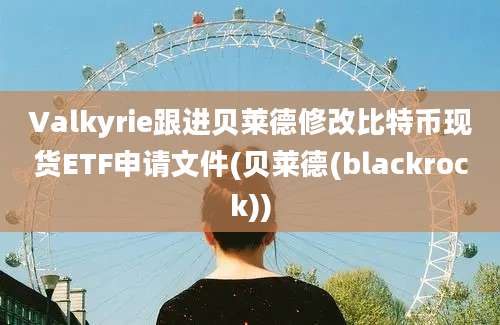 Valkyrie跟进贝莱德修改比特币现货ETF申请文件(贝莱德(blackrock))