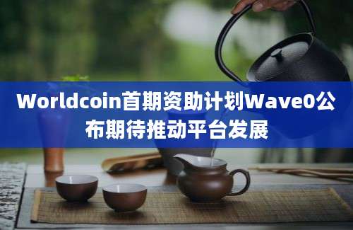 Worldcoin首期资助计划Wave0公布期待推动平台发展