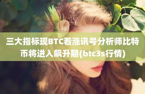 三大指标现BTC看涨讯号分析师比特币将进入飙升期(btc3s行情)