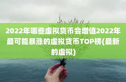 2022年哪些虚拟货币会增值2022年最可能暴涨的虚拟货币TOP榜(最新的虚拟)