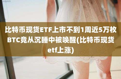 比特币现货ETF上市不到1周近5万枚BTC竟从沉睡中被唤醒(比特币现货etf上涨)