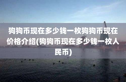 狗狗币现在多少钱一枚狗狗币现在价格介绍(狗狗币现在多少钱一枚人民币)