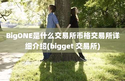 BigONE是什么交易所币格交易所详细介绍(bigget 交易所)