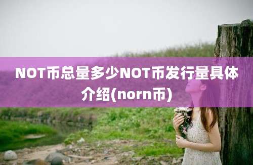 NOT币总量多少NOT币发行量具体介绍(norn币)