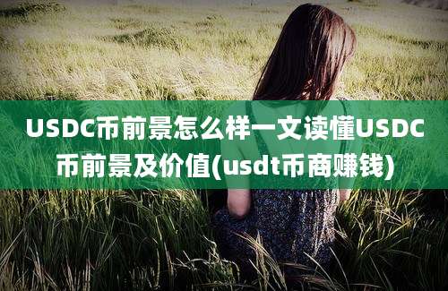 USDC币前景怎么样一文读懂USDC币前景及价值(usdt币商赚钱)