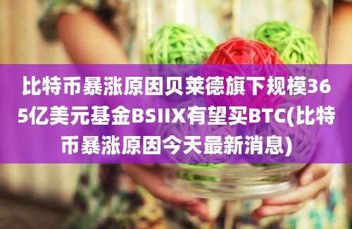 比特币暴涨原因贝莱德旗下规模365亿美元基金BSIIX有望买BTC(比特币暴涨原因今天最新消息)