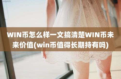 WIN币怎么样一文搞清楚WIN币未来价值(win币值得长期持有吗)