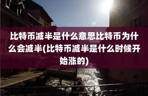 比特币减半是什么意思比特币为什么会减半(比特币减半是什么时候开始涨的)