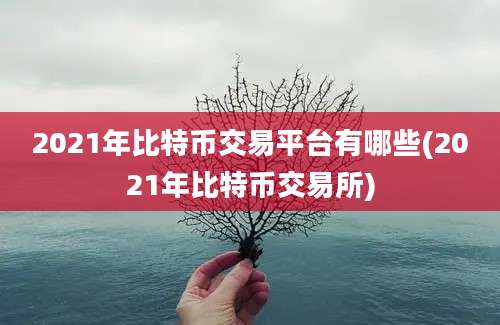 2021年比特币交易平台有哪些(2021年比特币交易所)