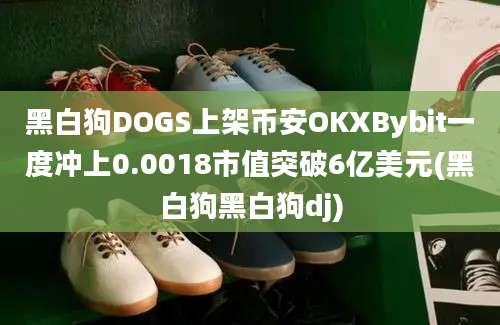 黑白狗DOGS上架币安OKXBybit一度冲上0.0018市值突破6亿美元(黑白狗黑白狗dj)