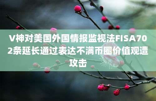 V神对美国外国情报监视法FISA702条延长通过表达不满币圈价值观遭攻击