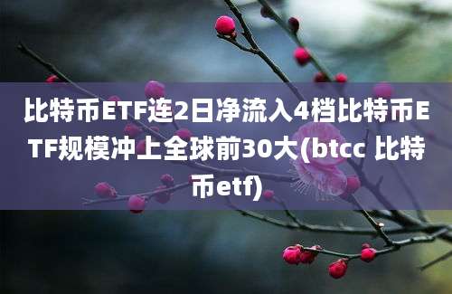 比特币ETF连2日净流入4档比特币ETF规模冲上全球前30大(btcc 比特币etf)