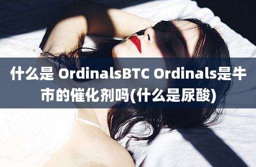 什么是 OrdinalsBTC Ordinals是牛市的催化剂吗(什么是尿酸)