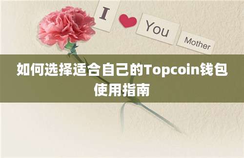 如何选择适合自己的Topcoin钱包使用指南