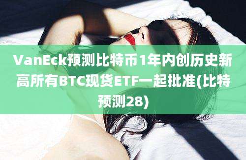 VanEck预测比特币1年内创历史新高所有BTC现货ETF一起批准(比特预测28)