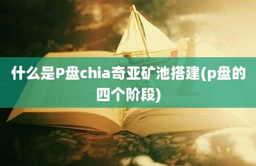 什么是P盘chia奇亚矿池搭建(p盘的四个阶段)