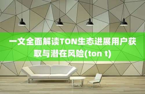 一文全面解读TON生态进展用户获取与潜在风险(ton t)