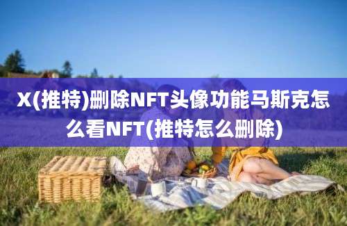 X(推特)删除NFT头像功能马斯克怎么看NFT(推特怎么删除)