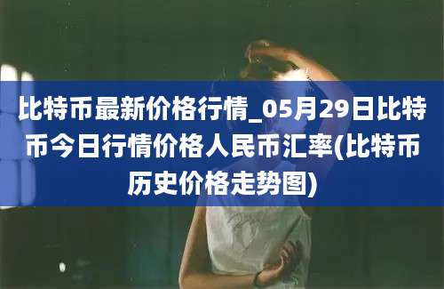 比特币最新价格行情_05月29日比特币今日行情价格人民币汇率(比特币历史价格走势图)