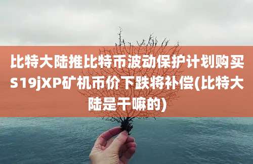 比特大陆推比特币波动保护计划购买S19jXP矿机币价下跌将补偿(比特大陆是干嘛的)