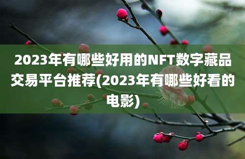 2023年有哪些好用的NFT数字藏品交易平台推荐(2023年有哪些好看的电影)