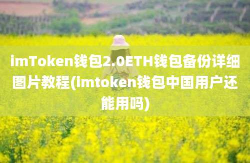 imToken钱包2.0ETH钱包备份详细图片教程(imtoken钱包中国用户还能用吗)